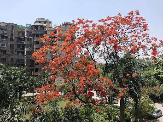 4 BHK Flat In Kailash Dham for Rent  In Kailash Dham Road