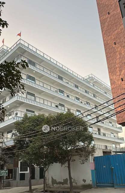 PG for Girls in Sector 128