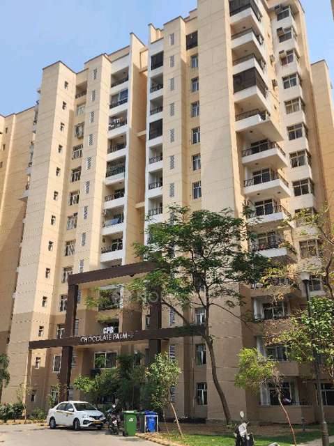 Single Room for Male In 1 RK  In Omax Palm Green In Omax Palm Greens