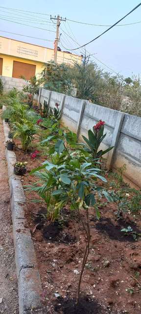 Co-Working  space in Himayat Sagar Lake, Hyderabad for Rent 