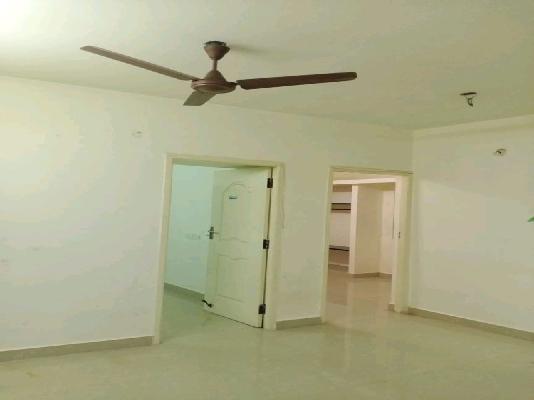 2 BHK Flat In Nest Wow Block 12 for Rent  In Vrishabadri D Cross Street
