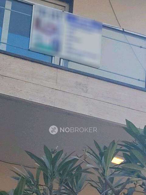 PG for Anyone in  Sector 45