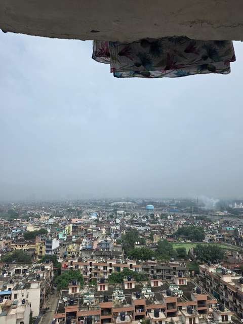 2 BHK Flat In Amrapali Empire for Rent  In Dundahera