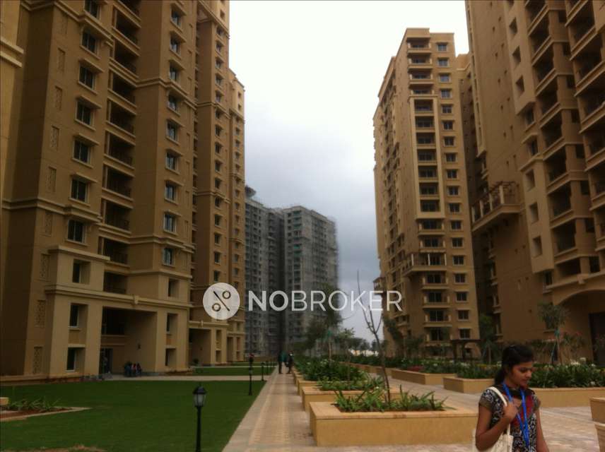 3 BHK Flat In Shoba City Casa Cerinita for Rent  In Thanisandra
