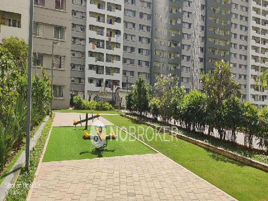 1 BHK Flat In Sobha Dream Acres for Rent  In Balagere