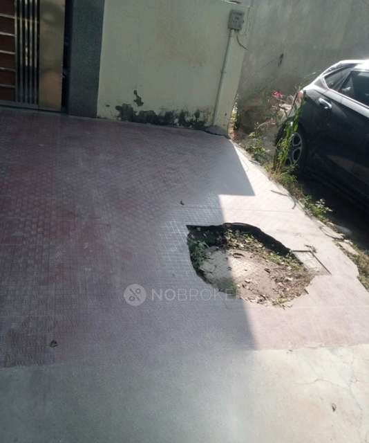 PG for Girls in Sector 46