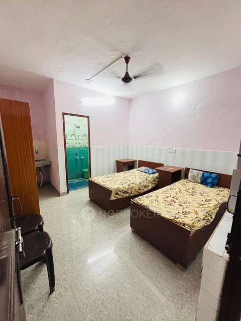 PG for Anyone in Sector 135