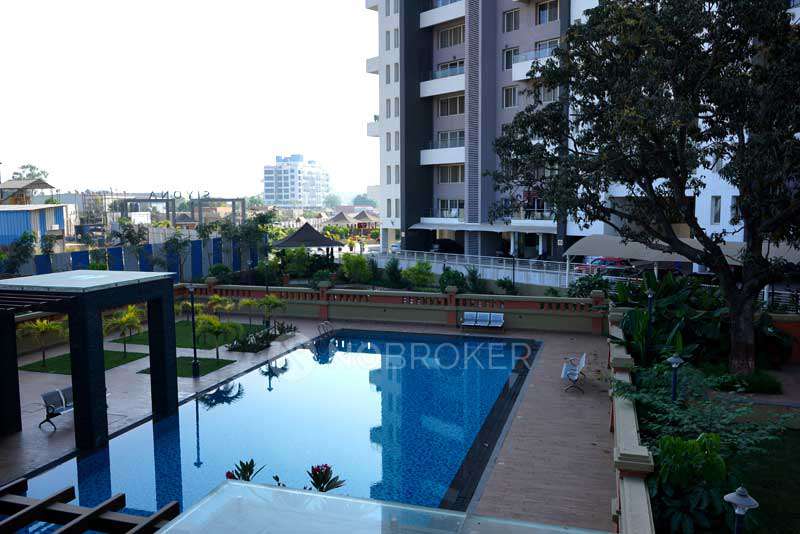 3 BHK Flat In Pethkar Siyona, Punawale for Rent  In Punawale