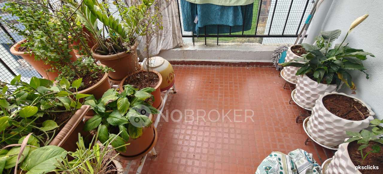 3 BHK Flat In Palash 2.0 For Sale  In Green Drive Road