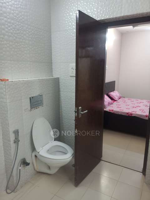 PG for Anyone in Sector 41