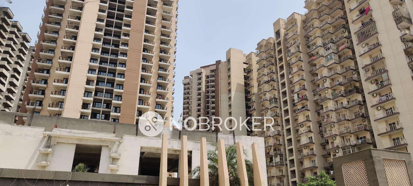 3 BHK Flat In Rg Luxury Homes For Sale  In Sector 16b 