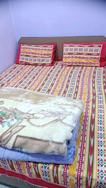 PG for Anyone in Govindpuri