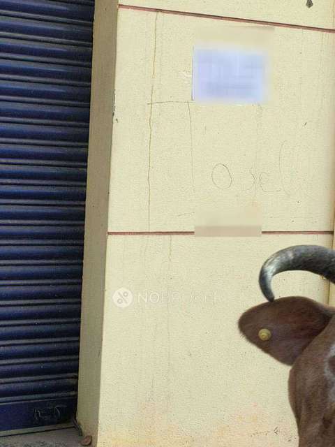 Shop in Manganahalli, Bangalore for Rent 