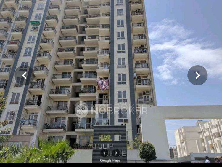 3 BHK Flat In Tulip White for Rent  In Tulip White