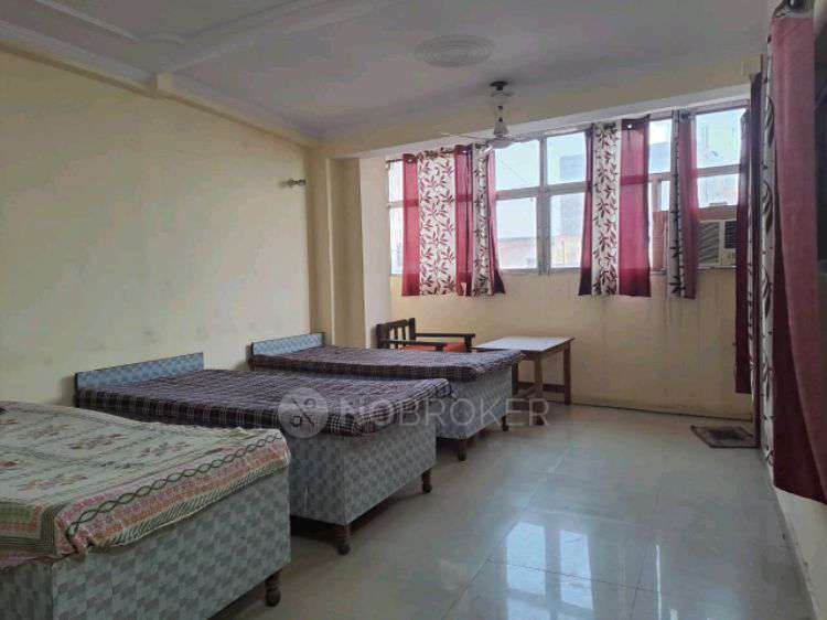 PG for Anyone in Shanti Dairy