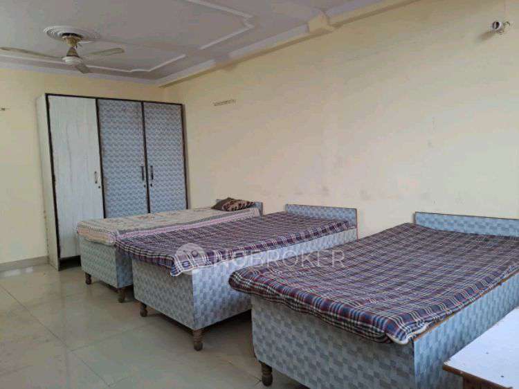 PG for Anyone in Shanti Dairy