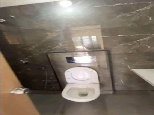 2 BHK Flat In Trinity Grace, Wakad for Rent  In Wakad