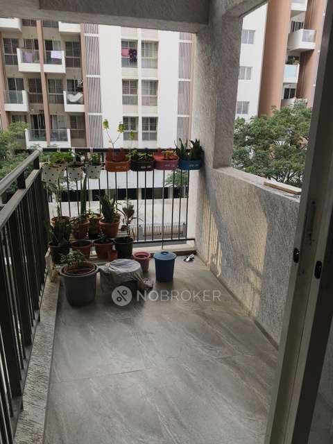 2 BHK Flat In Rama Fusion Towers, Hinjewadi for Rent  In Fusion Towers