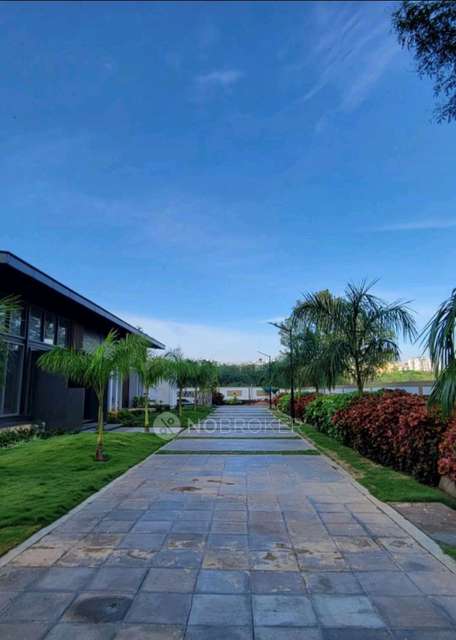 2 BHK Flat In Ds-max Sangam Grand for Rent In Krishnarajapuram