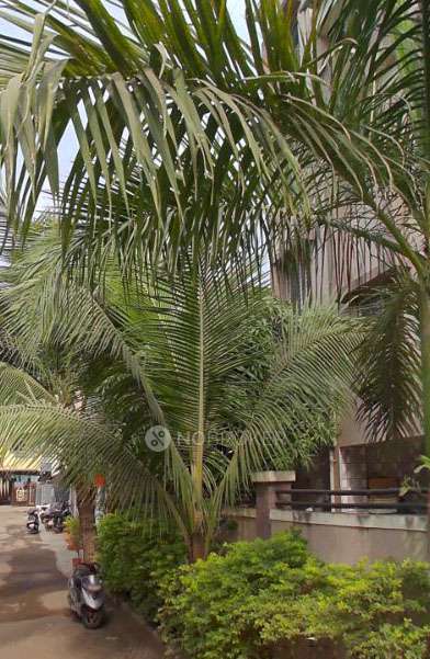 3 BHK House for Rent  In Adarsh Nagar