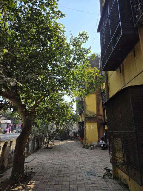 1 BHK Flat In Swedbindu Housing Society for Rent  In Swedbindu Cooperative Housing Society, Ajantha Nagar, Chinchwad, Pimpri-chinchwad, Maharashtra 411019, India