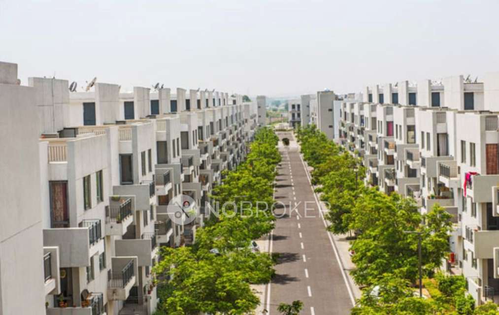 3 BHK Flat In Vatika India Next, Sector 83 for Rent  In Sector 82