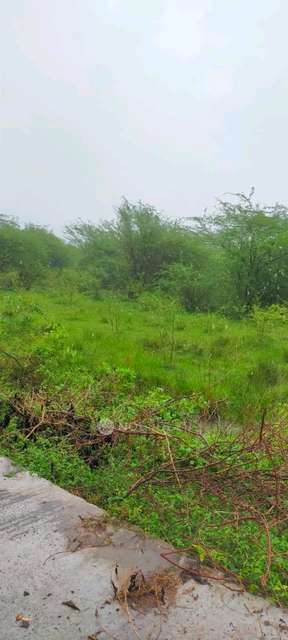 Plot For Sale  In Minjur Jain College