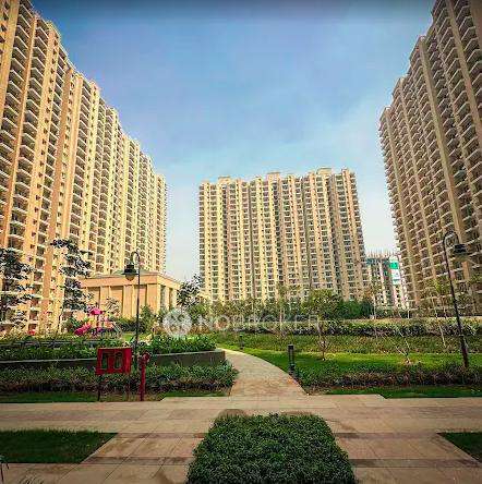 2 BHK Flat In Ats Happy Trails, Sector 10 for Rent  In Sector 10