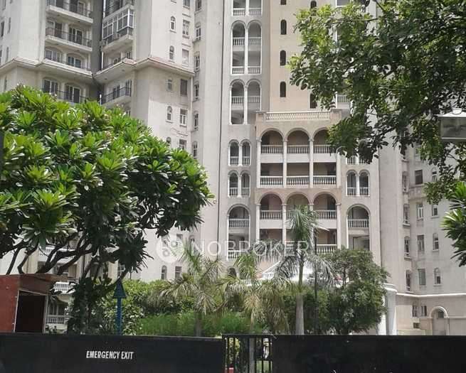 1 BHK Flat In Dlf Regency Park for Rent  In Sector 43