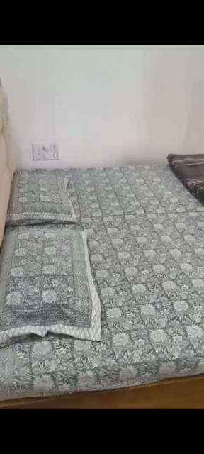 1 BHK Flat In Gk Aarcon, Punawale for Rent  In Gk Aarcon