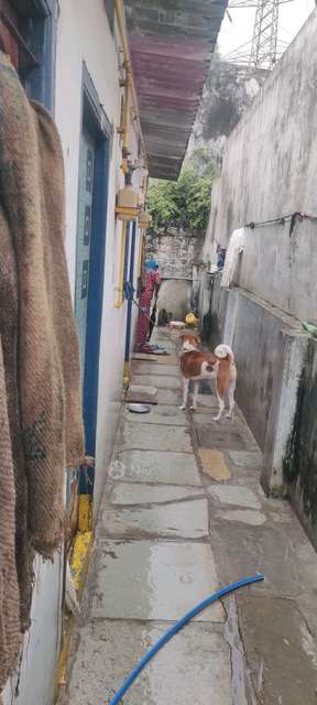 2 BHK House For Sale  In Rodamestri Nagar