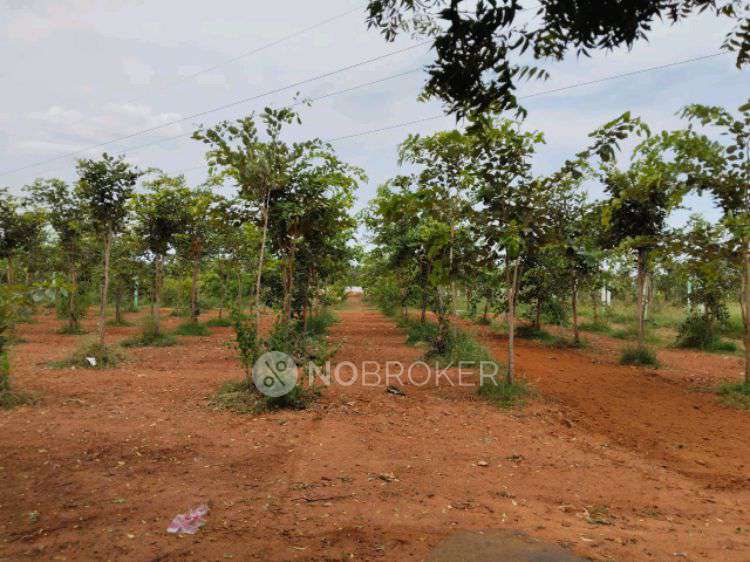 Plot For Sale  In Farm Land In Ecr In 140, Pillayar Koil St, Jayalalitha Nagar, Kattupakkam, Chennai, Tamil Nadu 600056, India