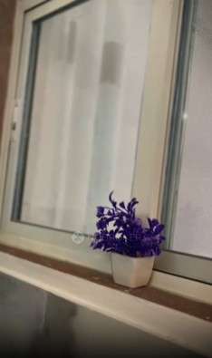 1 BHK Flat In Tirupati Mount Vista for Rent  In Wadegaon