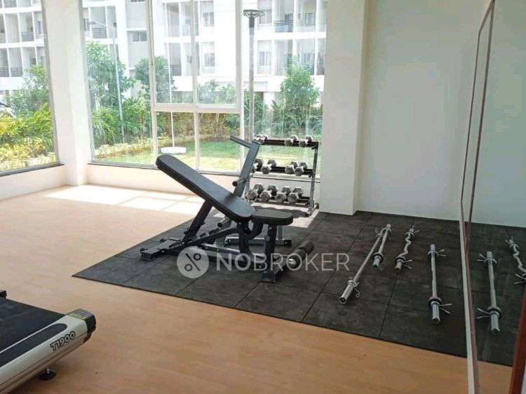 3 BHK Flat In Vtp Puruvanchal for Rent  In Wagholi