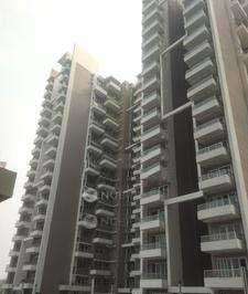 1 BHK Flat In Manor One for Rent  In Sector 111