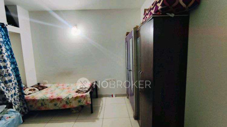 2 BHK Flat In Paranjape Blue Ridge for Rent  In Blue Ridge Town Pune