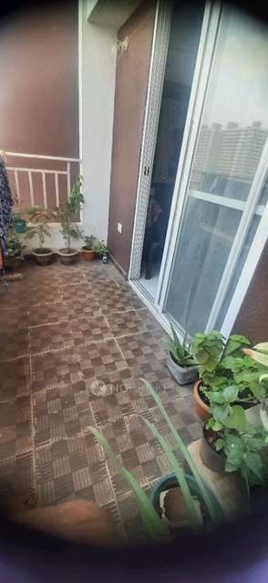 2 BHK Flat In Nexus Meridian for Rent  In Punawale, Pune