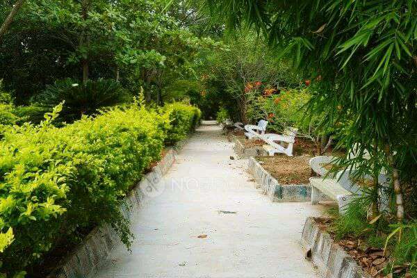 Plot For Sale  In Nbr Meadows In Alasanatham Rd