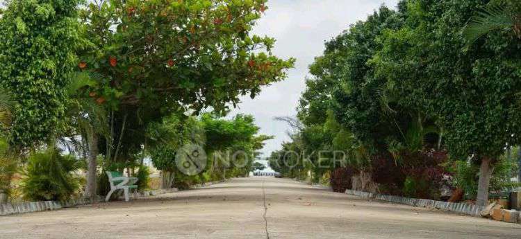 Plot For Sale  In Nbr Meadows In Alasanatham Rd