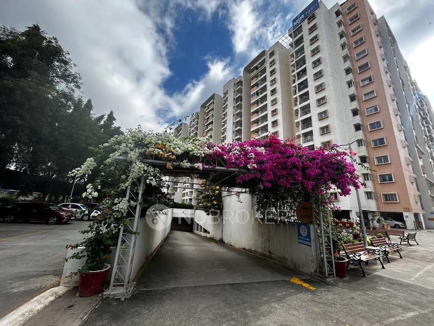 3 BHK Flat In Mjr Pearl for Rent  In  Kadugodi