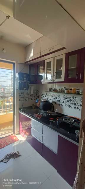 1 BHK Flat In Shree Residency, Jadhavwadi, Shree Residency, Jadhavwadi for Rent  In Chikhali