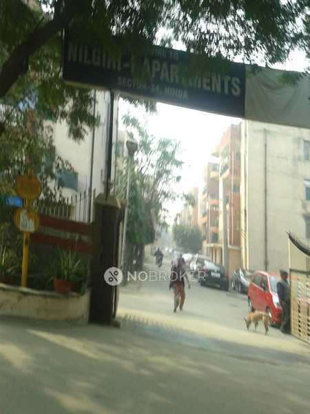 3 BHK Flat In Nilgiri Apartments 1 for Rent  In Sector 34