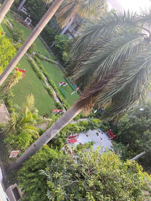 PG for Girls in Overseas Apartments