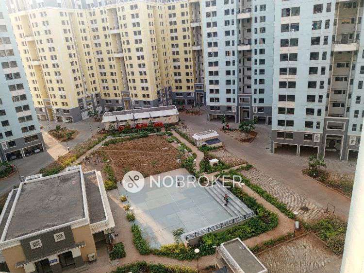1 BHK Flat In Ananta Towers for Rent In Wahal