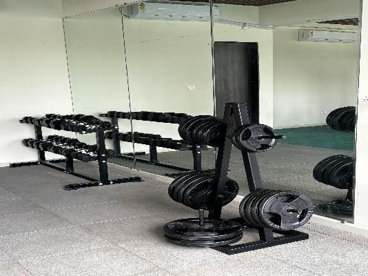 1 BHK Flat In The Groves Blue Ridge for Rent  In Pimpri-chinchwad