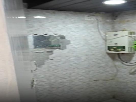 Single Room for Female In 2 BHK  In Apartment In Narhe