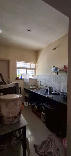 1 BHK Flat In Maple Aura County for Rent  In Wagholi