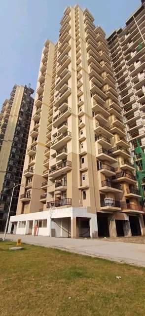 Shared Room for  In 3 BHK  In La Residency In Sector 4