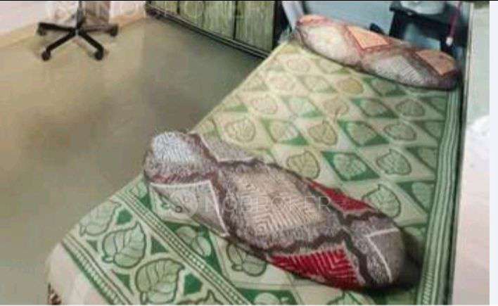 Shared Room for Female In 1 RK  In Siddhivinyak Socitey In Nerul