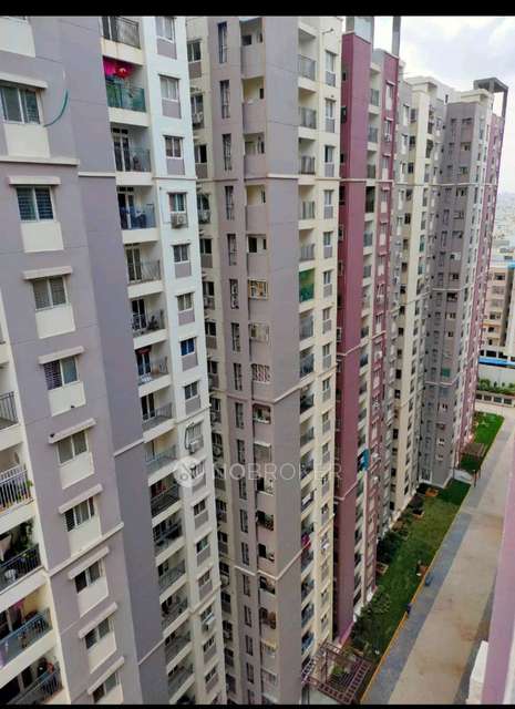 3 BHK Flat In Prajay Megapolis for Rent  In Kukatpally